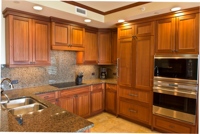 Gourmet Kitchens Masterfully Equipped