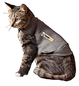 Thundershirt for Cats