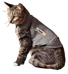 ThunderShirt for Cats