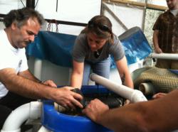 green acre aquaponics introduces a revolutionary approach