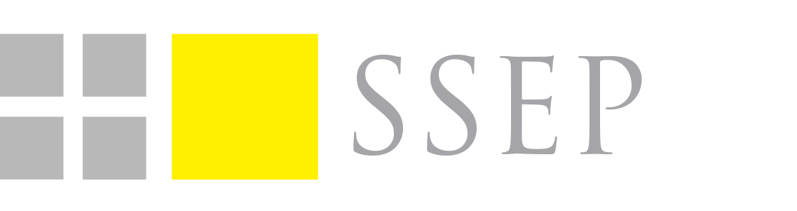 Sealy Strategic Equity Partners, L.P.