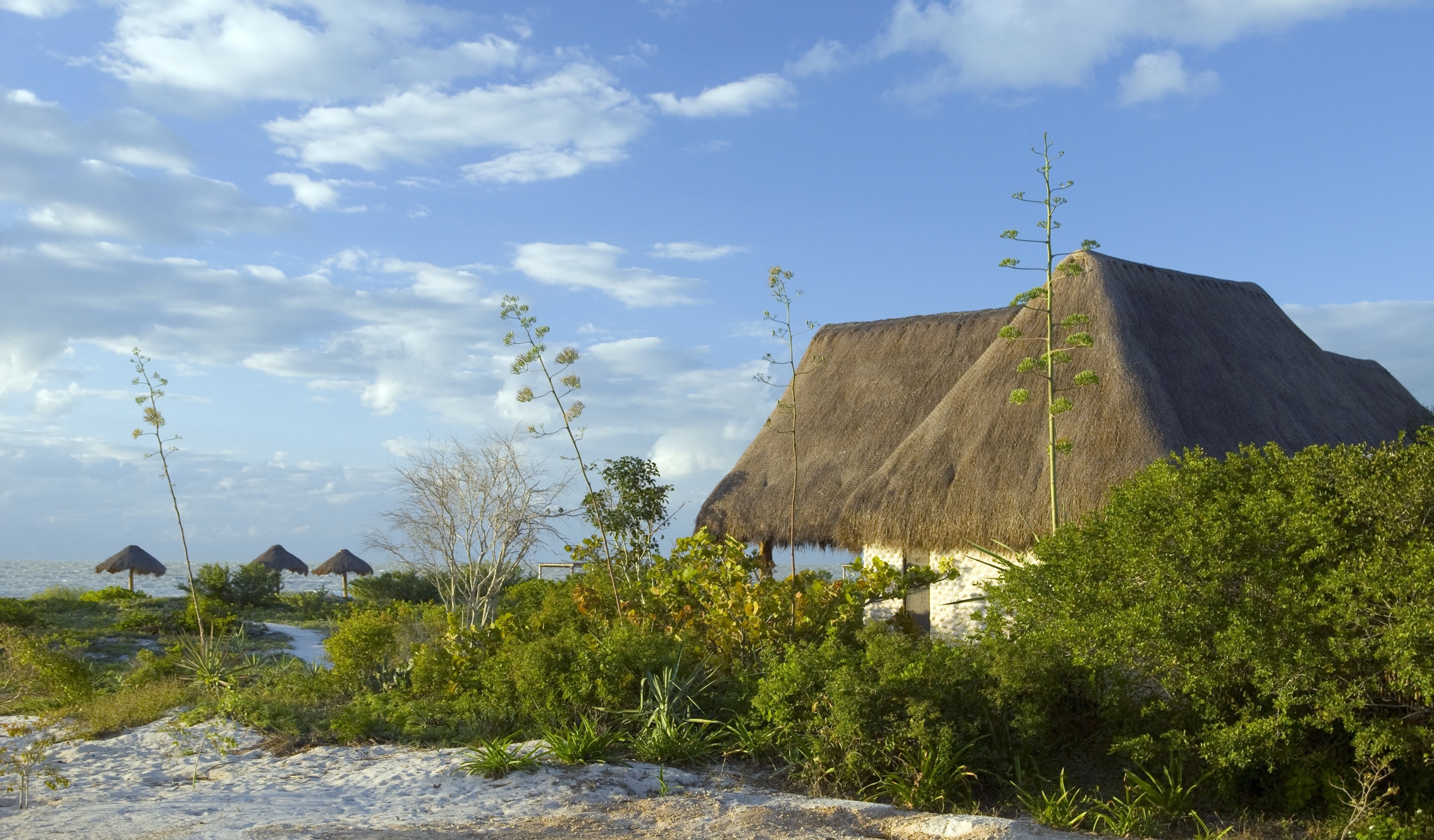 Relax in your seaside Mayan bungalow