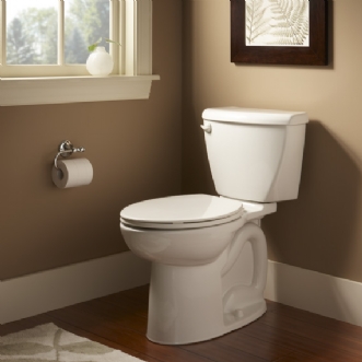 Low Flush Toilet