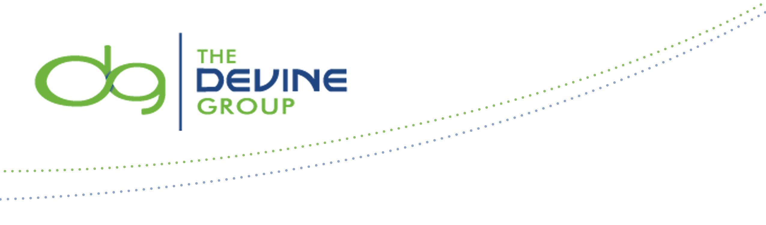 The Devine Group