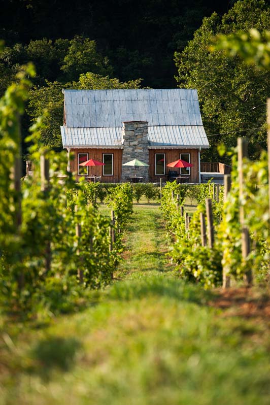 Fariss Farms Transforms Historic Iron Furnace Village Into a Vineyard, Picturesque Outdoor