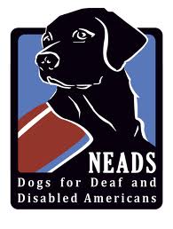 NEADS/Dogs for Deaf and Disabled Americans represented the winning infographic - dogs!