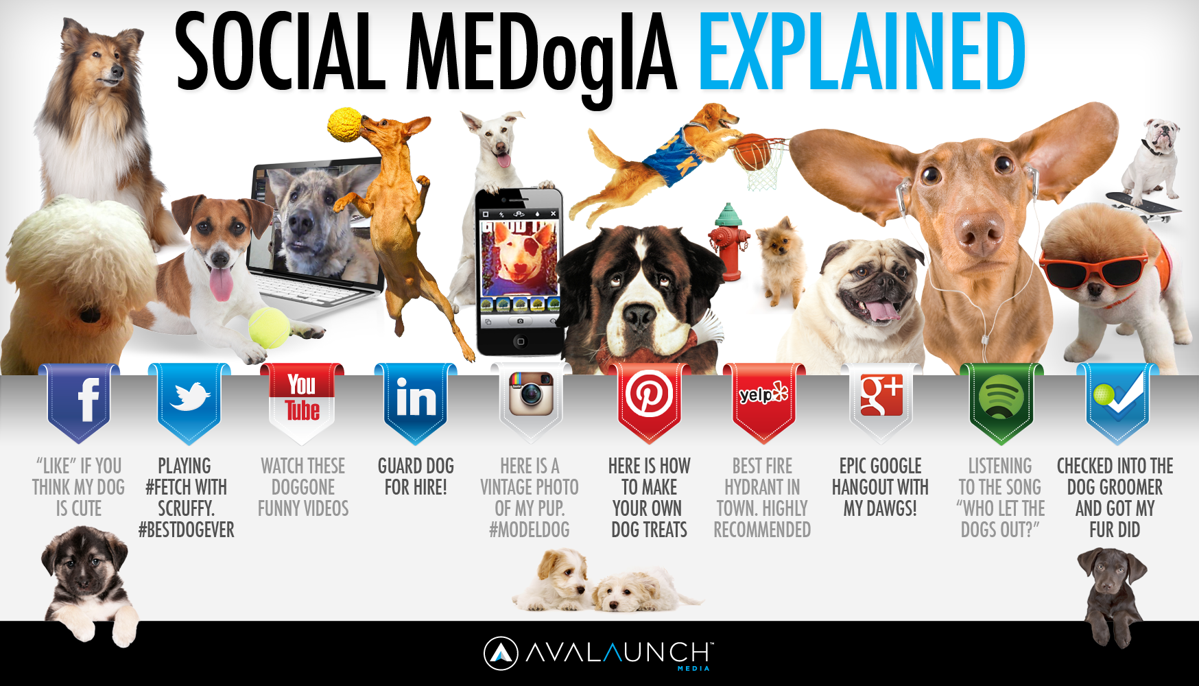 THE WINNER! Social MEDogIA infographic, in which dogs explain social media.