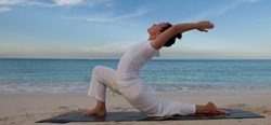 Yoga and Meditation retreat