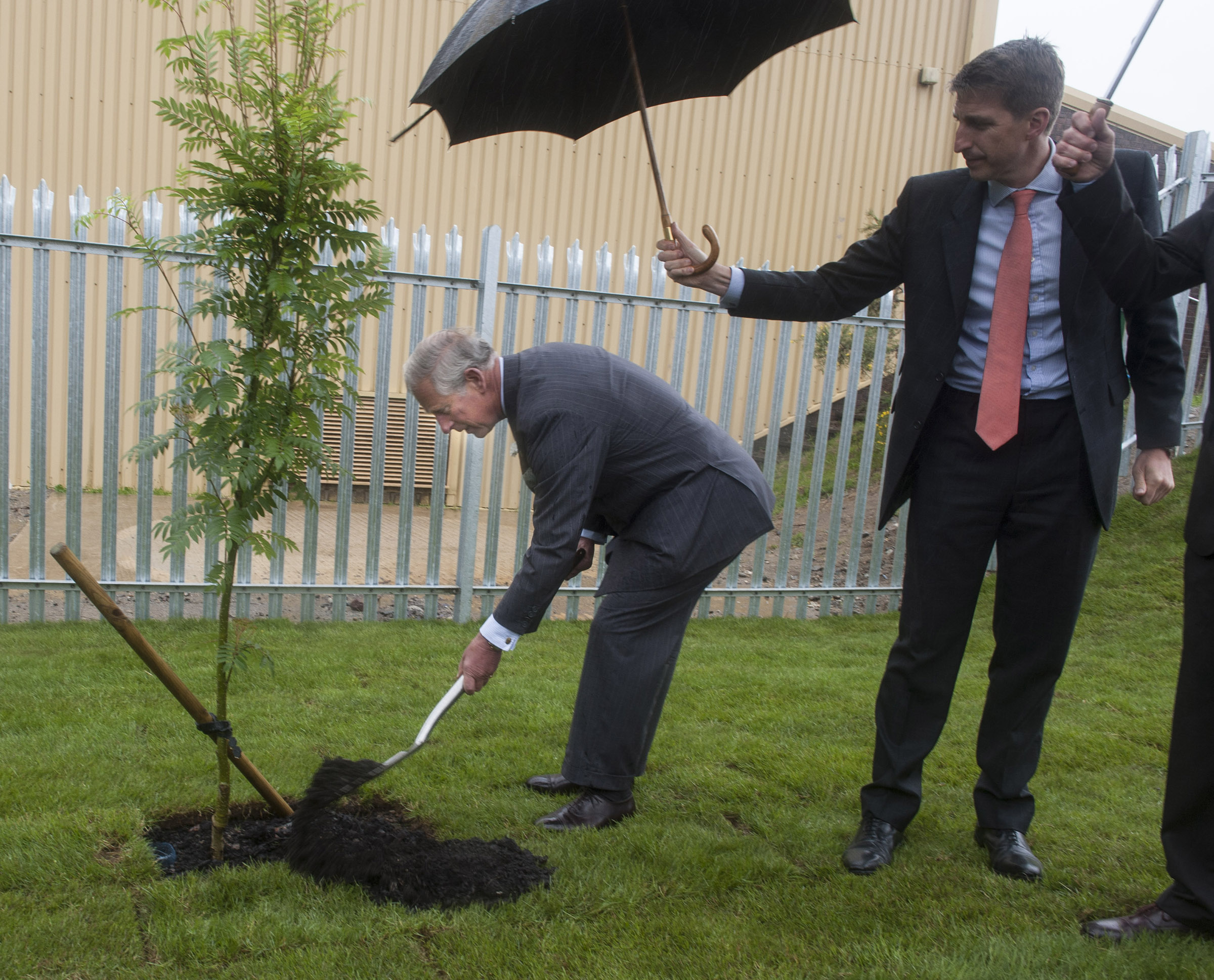 HRH Prince of Wales planting an autumn spire rowan tree (native to Wales), protected from the rain by Richard Barker (CEO, Biogen)