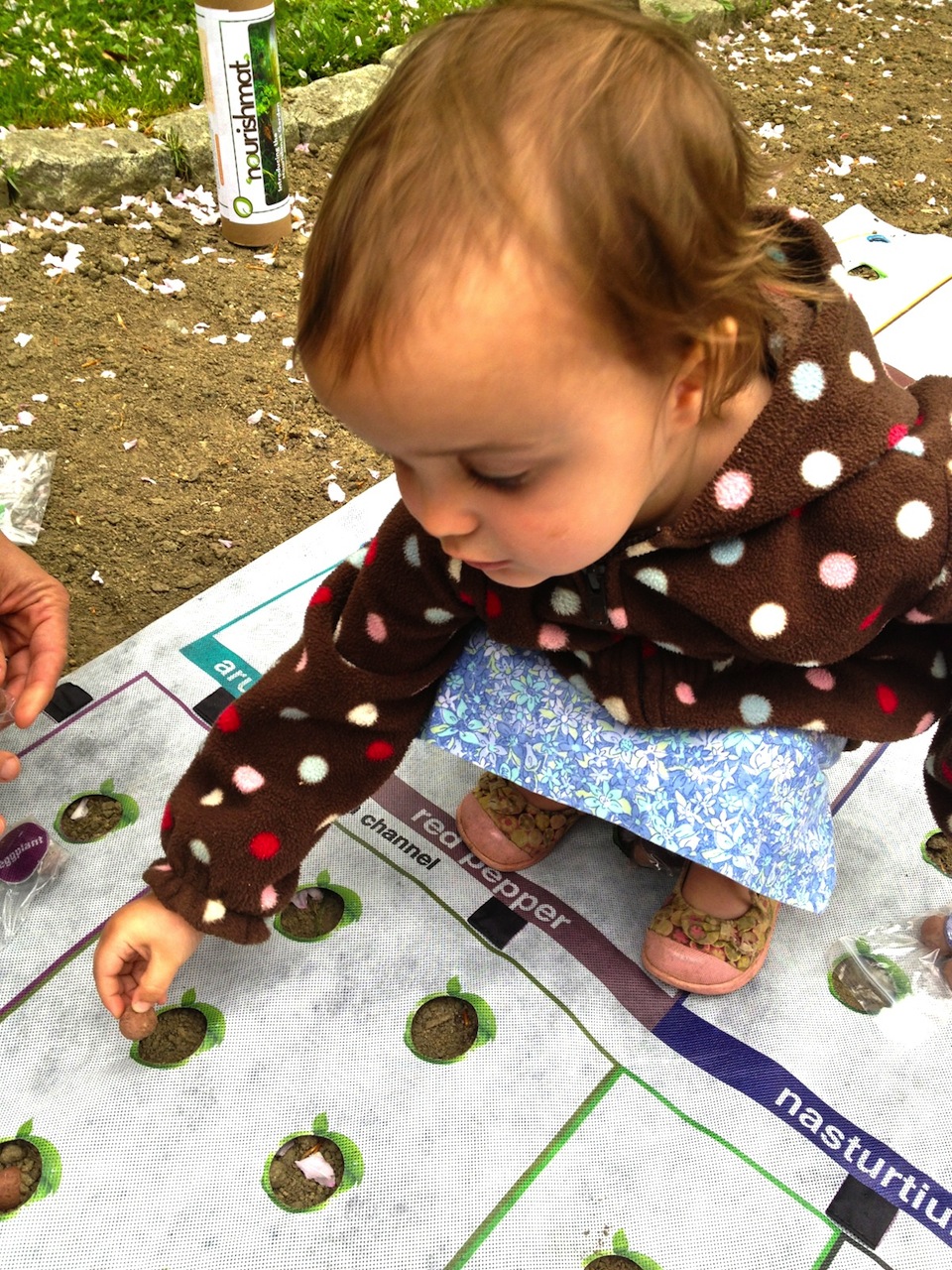 Nourishmat Producer Gardening at Age Two