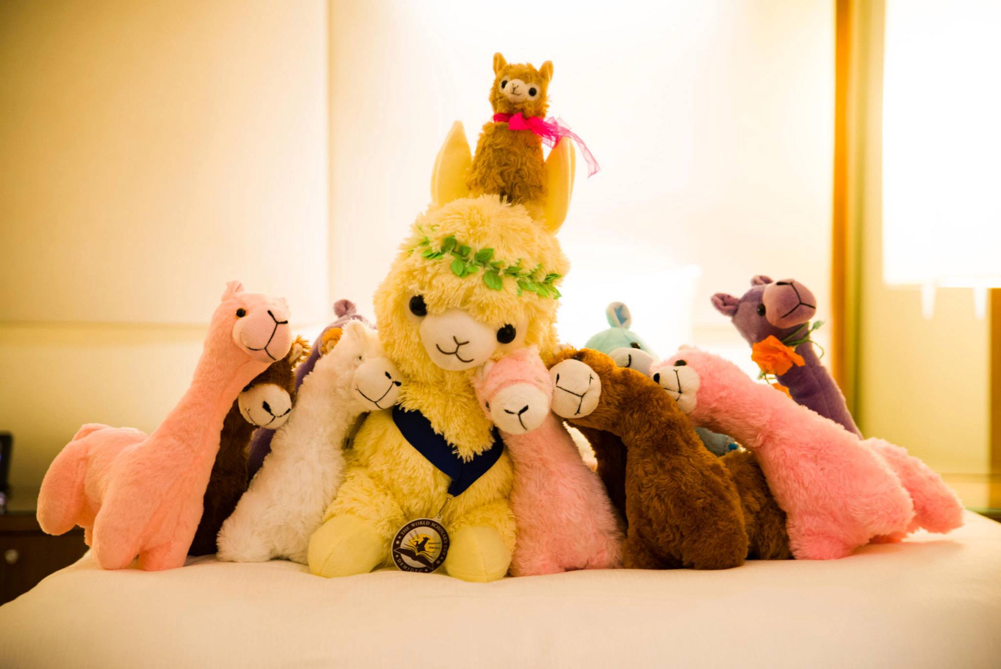 The Alpaca is the Mascot of the World Scholar's Cup