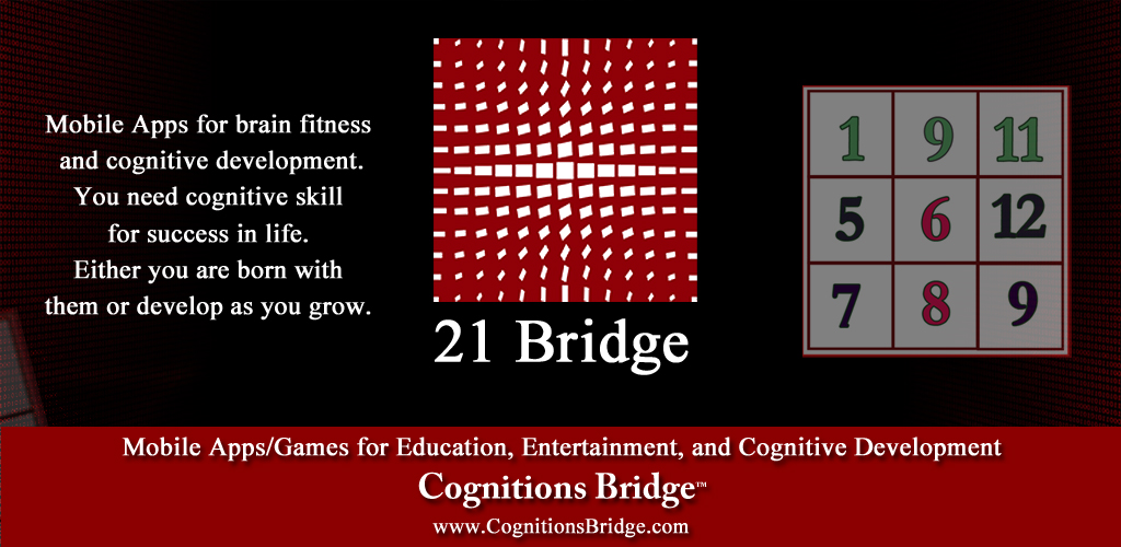 Intelligence Game for Entertainment and Cognitive Skills Development