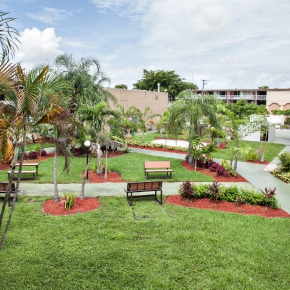 Rodeway Inn & Suites Lush Tropical Landscaping