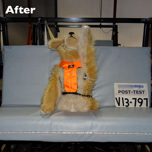 The crash-test dog wearing Clickit Utility remains in the seat after a 30 m.p.h. frontal crash test.