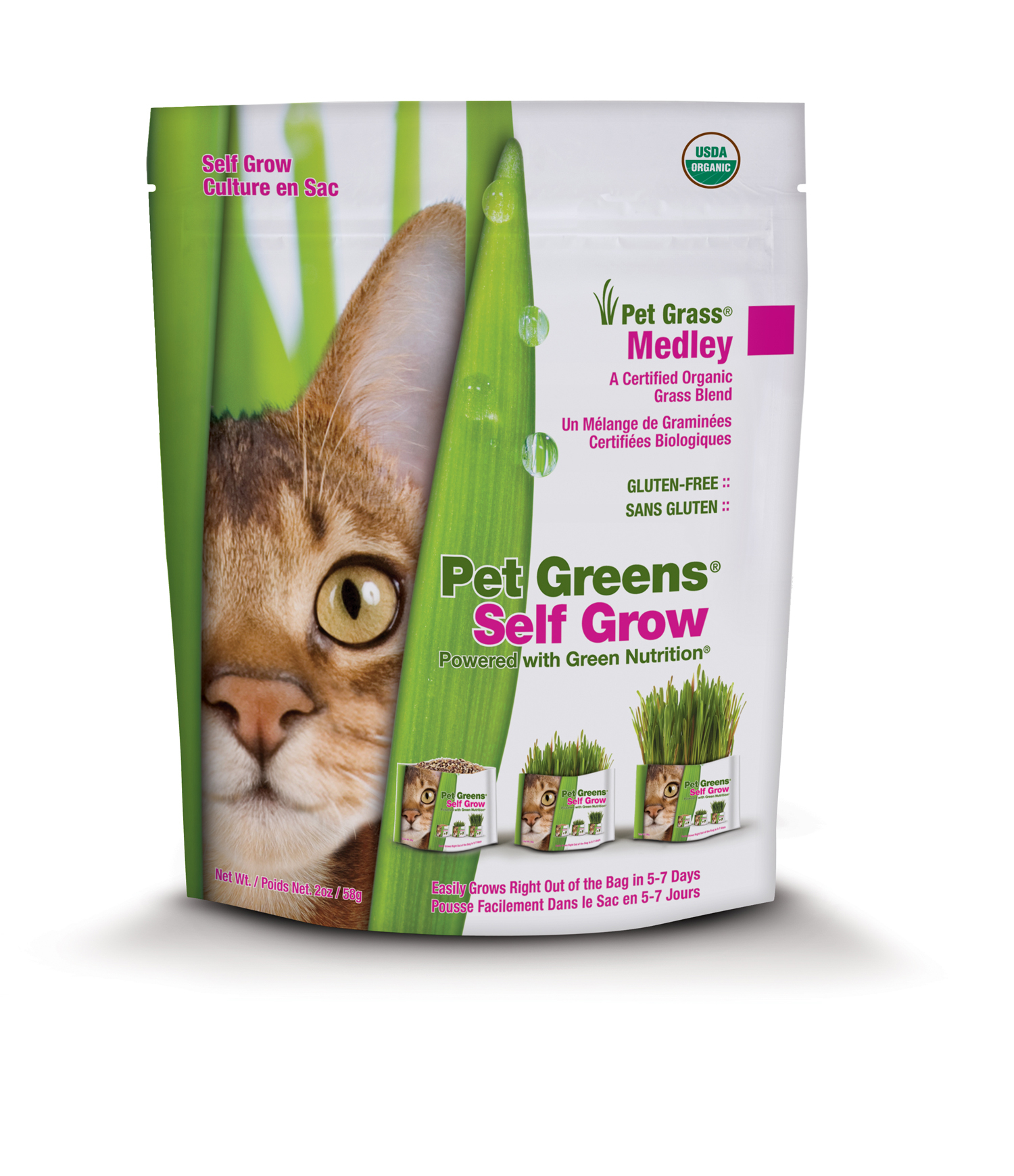 Pet Greens Medley Self-Grow Kit