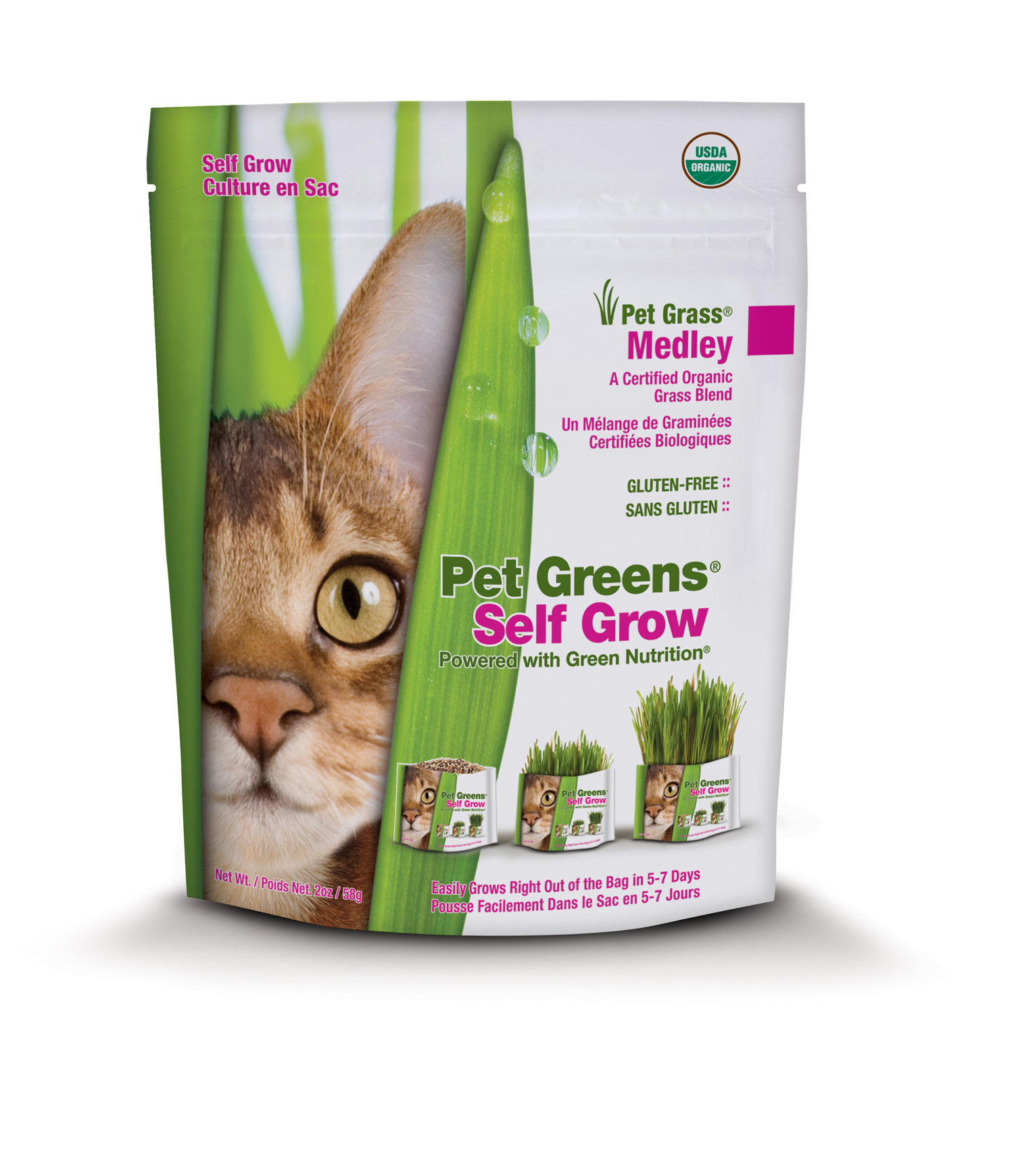 Pet Greens Medley Self-Grow Pet Grass