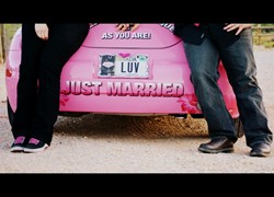 Luv Bug Just Married Sign