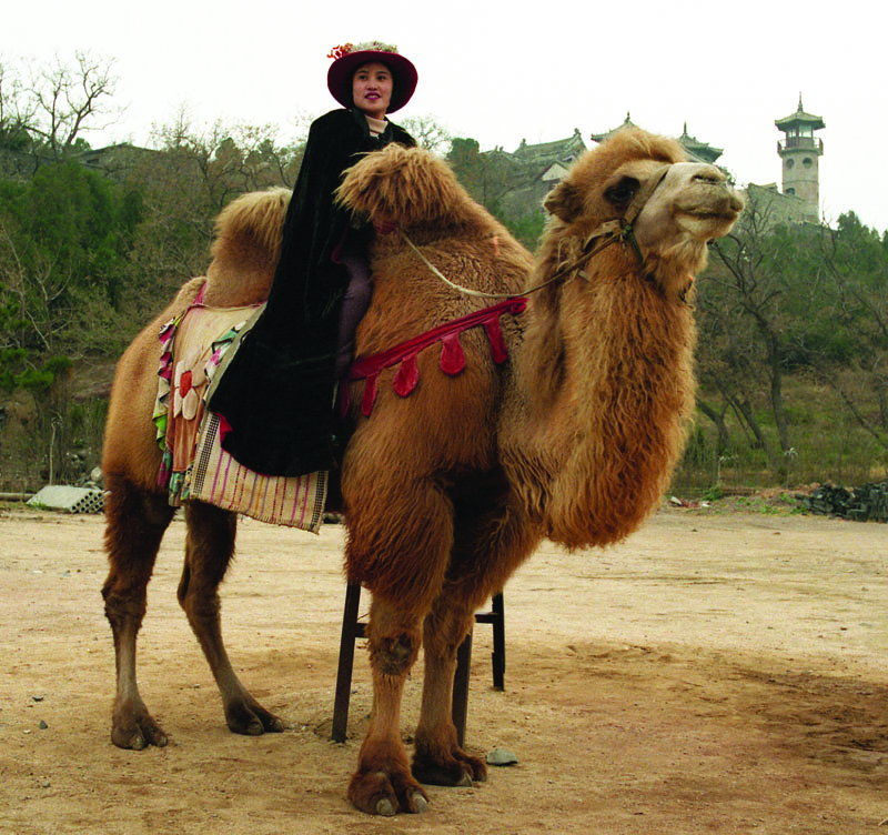 Girl On Camel