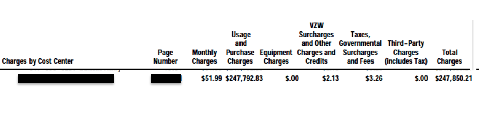 Screen shot of the Verizon Wireless Bill