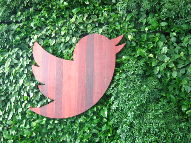 A newly installed GSky Green Wall brightens up a community space at Twitter headquarters and serves as a lush, vibrant home for Twitter’s bird logo.
