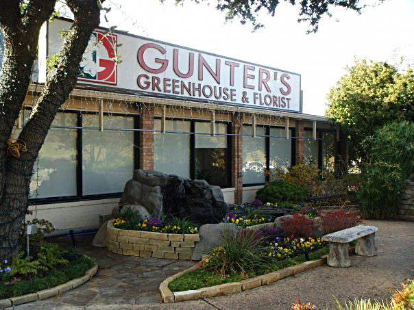 Gunter's Greenhouse located in Richardson TX recently announced merger with Dr Delphinium Designs & Events of Dallas TX