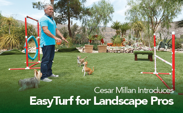 Cesar Millan, EasyTurf Partnership Makes Backyards Better 2