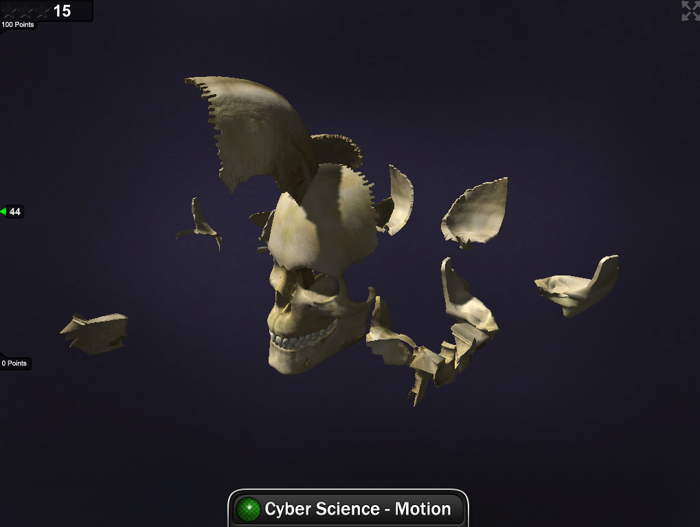 Cyber Science Motion - Human Skull Dissection Parts