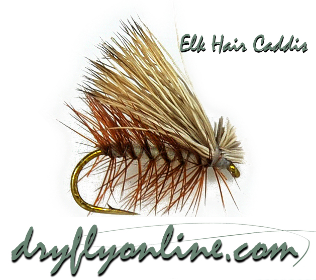 Elk Hair Caddis Fly from DryFlyOnline.com