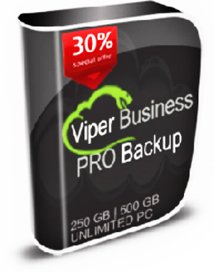 Backup your entire business with Viper Backup.