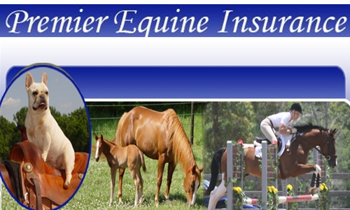 Best Rated Horse Insurance in the Industry