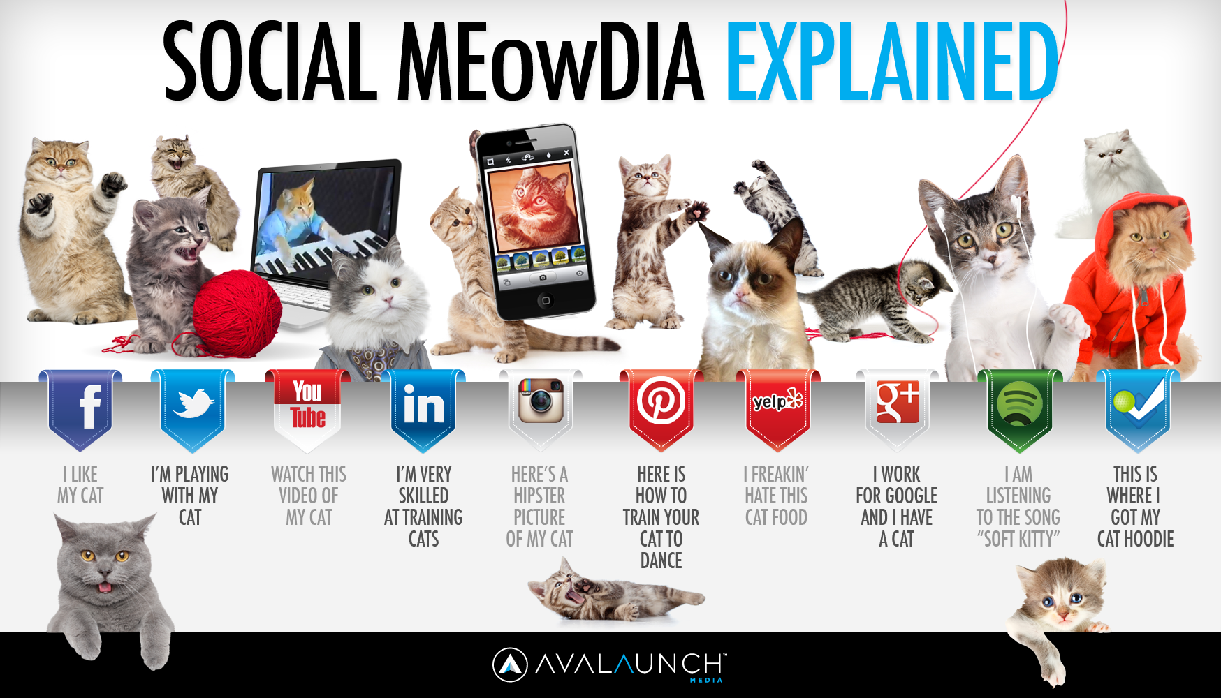 Social MEowDia Explained by Famous Cats