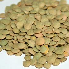 Lentil Beans Are Also Iron Rich and Help Improve Red Blood Cell Production
