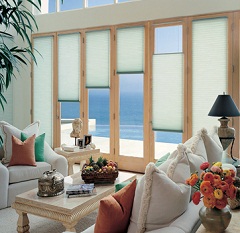 Top Down / Bottom Up Cellular Shades
