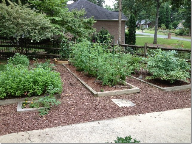 Raised Beds at SimplyLoveGardening.com