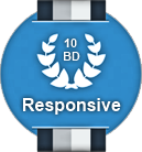 10 Best Responsive Web Design Firms Badge