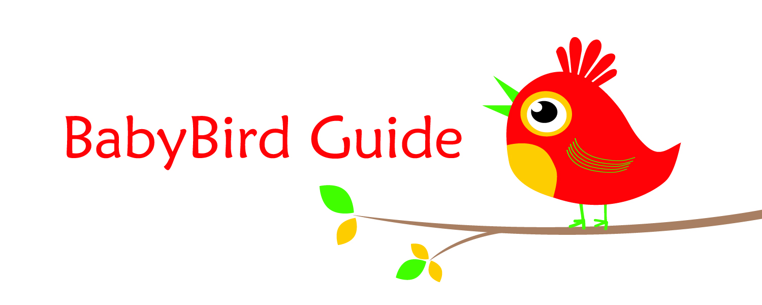 BabyBird Guide: Knowledge in Bite-Sized Pieces