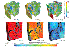 Three-Dimensionally Resolved Simulations of a LiCoO2 Electrode Structure Obtained via FIB/SEM Image