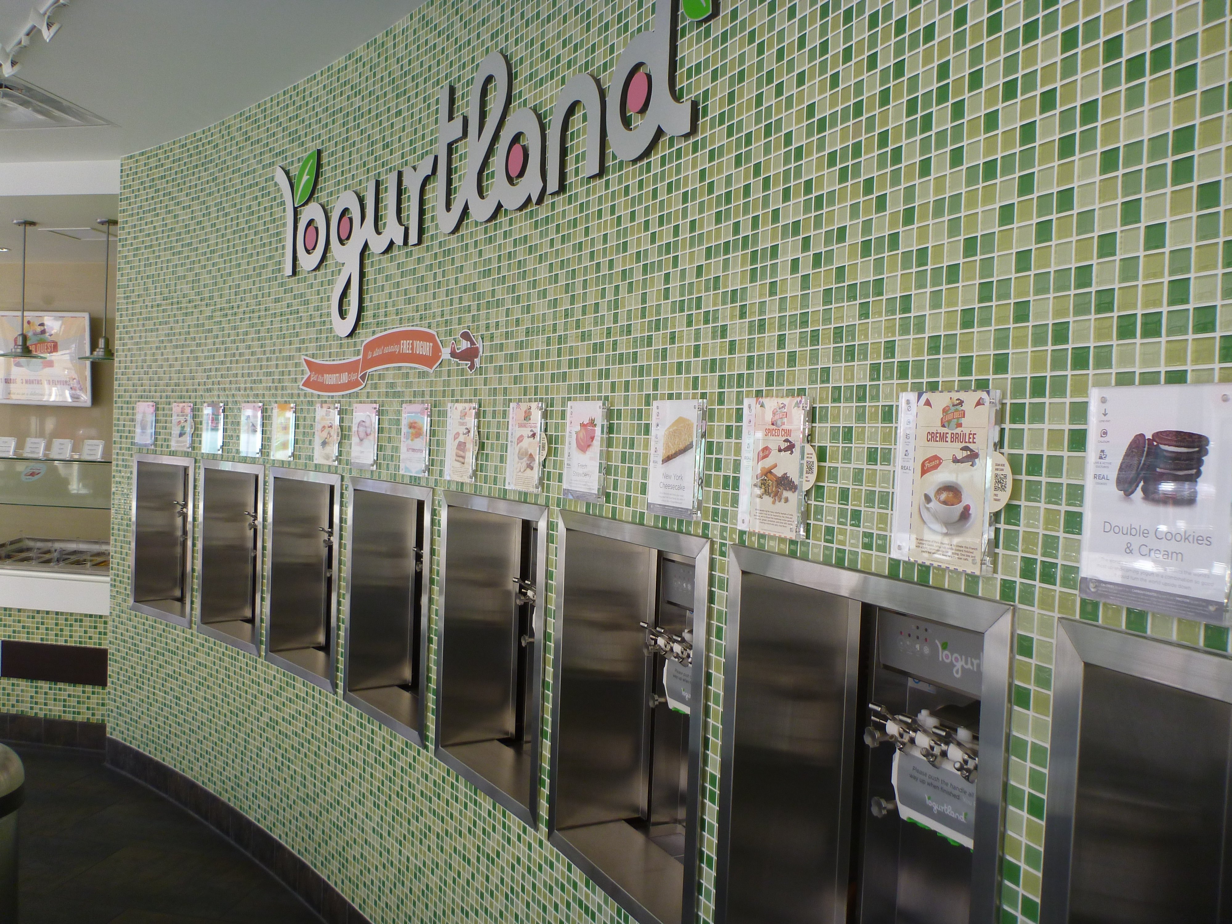 Yogurtland's appealing wall of flavors invites guests to create their own frozen treat.