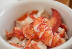 Fresh, hand-picked Maine lobster meat