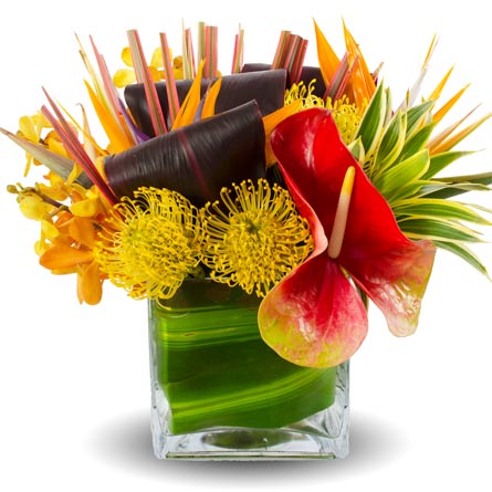 Tropical Funeral Flowers