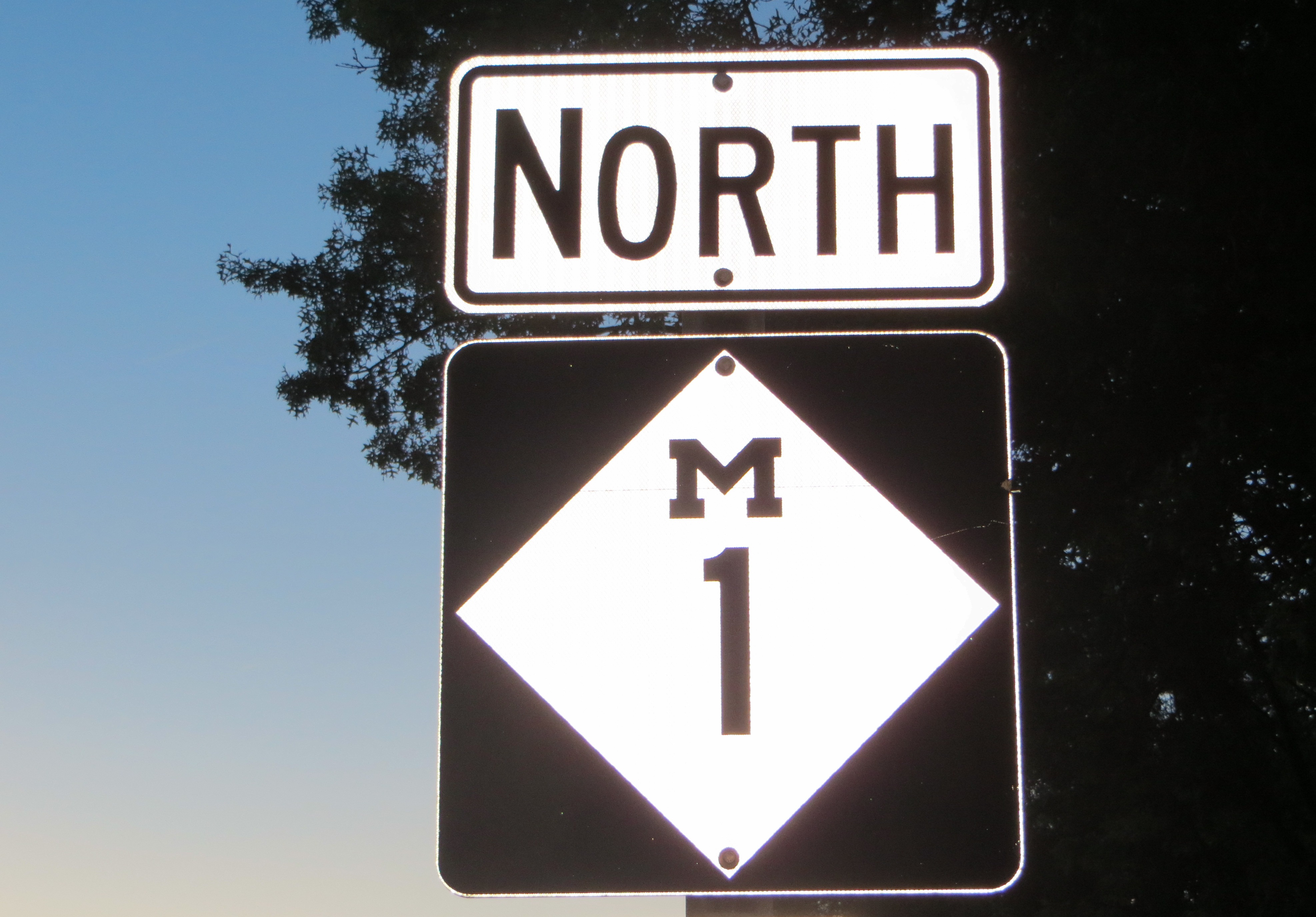 A sign for the historic Woodward Avenue