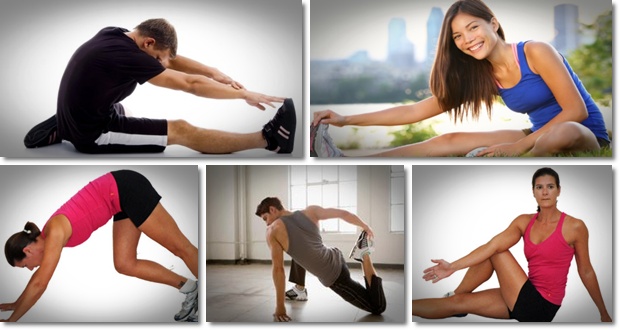 flexibility exercises