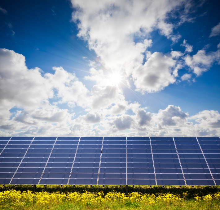 50MW Solar Farm Project Offers Lower Cost - Better Returns