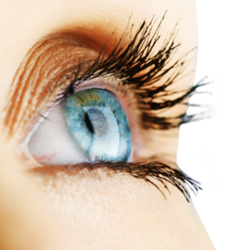 Close up of woman's bright blue eye