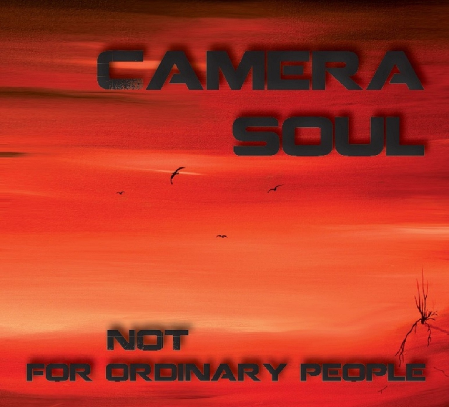 Camera Soul "Not For Ordinary People"