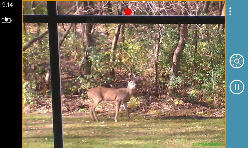 Deer on property - Windows Phone camera view
