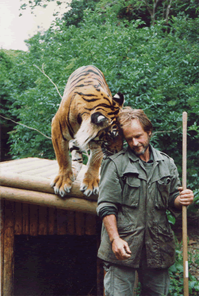 Nick Marx, caring for rescued tiger, Araeng, in Cambodia.