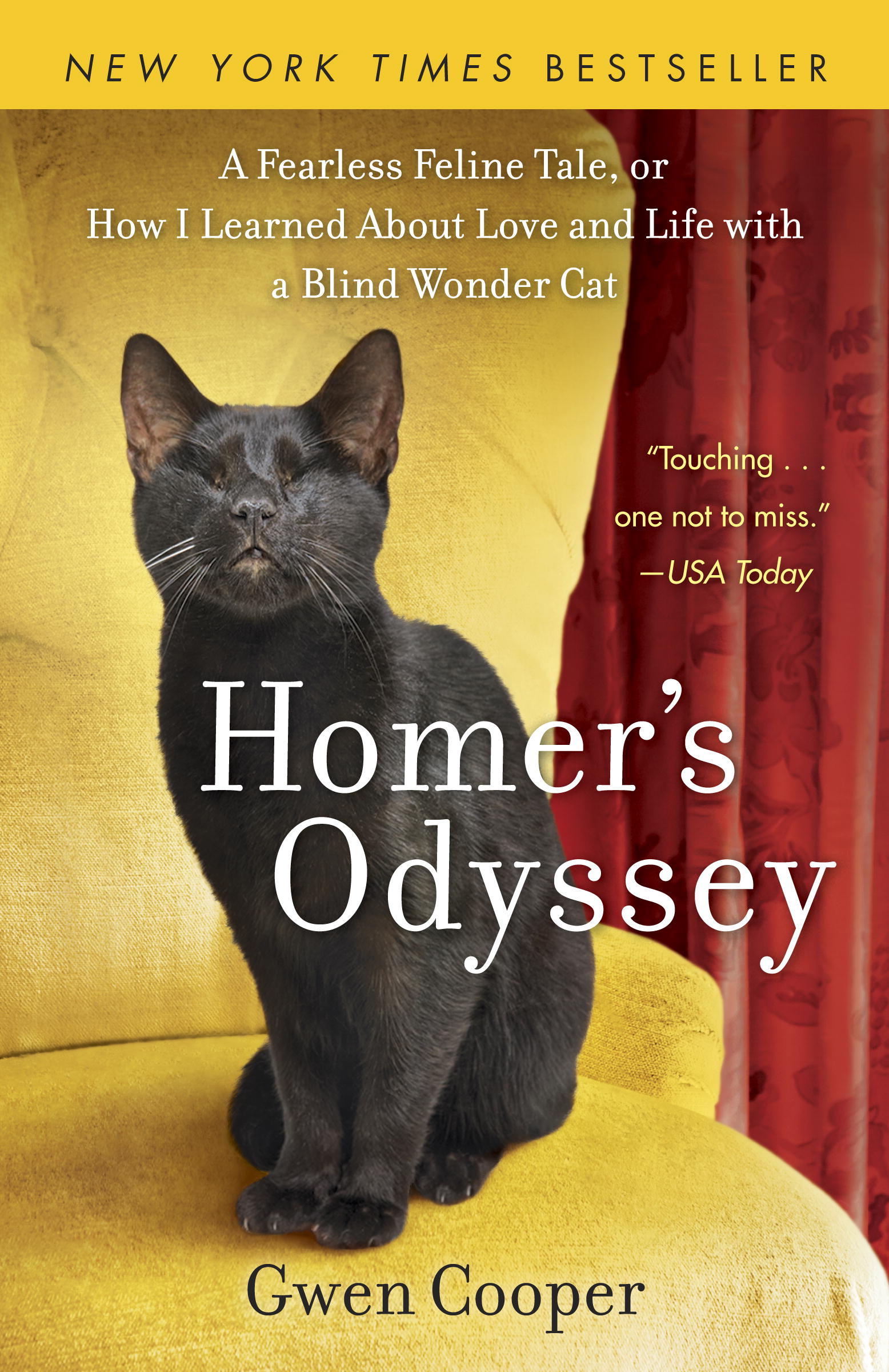 Homer's Odyssey:  A Fearless Feline Tale