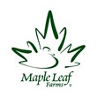 Maple Leaf Farms Introduces Naturally Applewood Smoked Duck Bacon