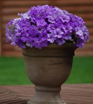 Monochromatic colors in elegant planters are going to be all the rage next year, according to Garden Media's 2014 Garden Trends Report.